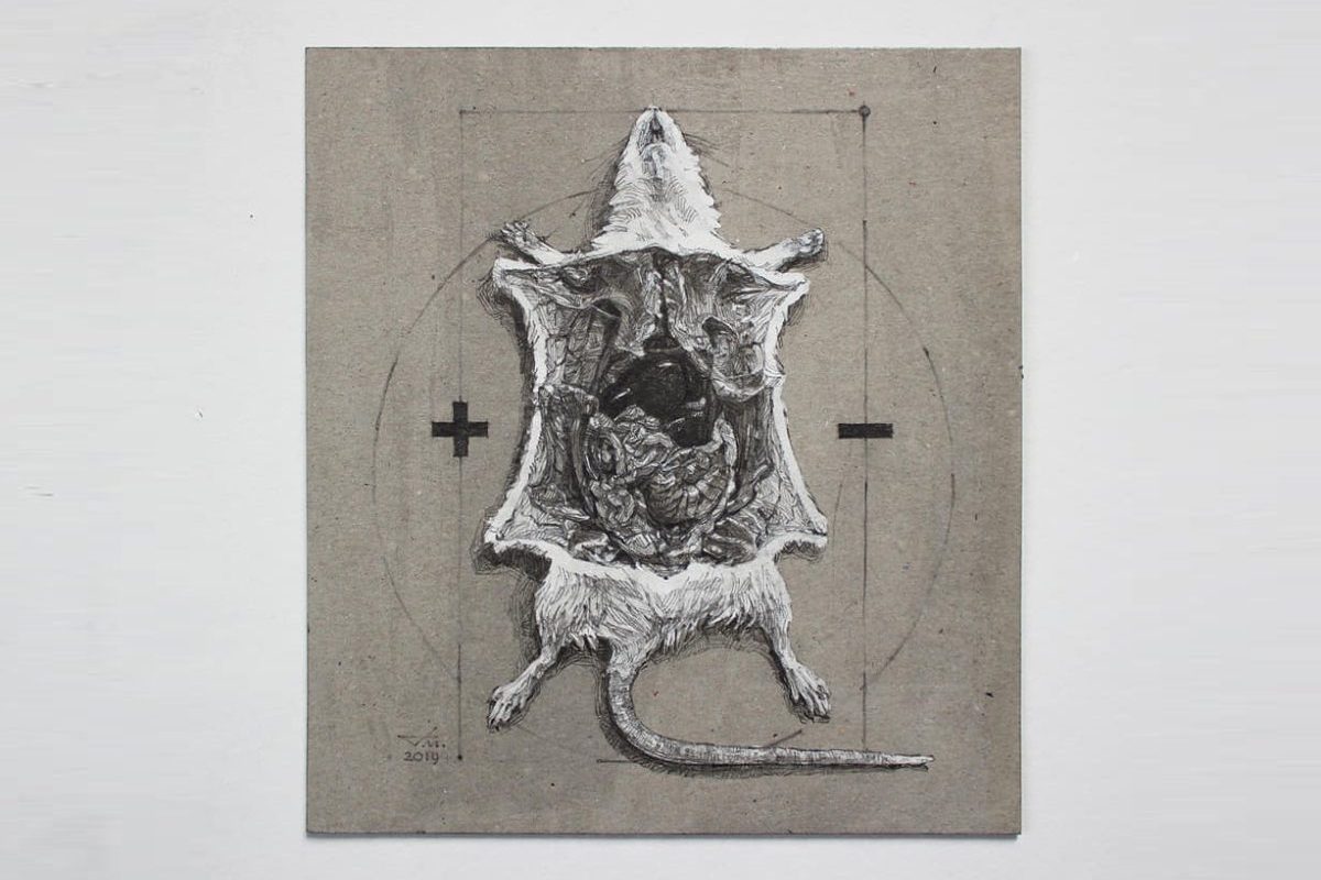 НАУЧНЫЙ ЭКСПЕРИМЕНТ «ВСЕЛЕННАЯ-25»: «мышиный рай» как пророчество о будущем