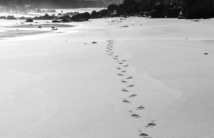«ШАГИ ДЕКАРТА». Рассказ Сергея Форкоша