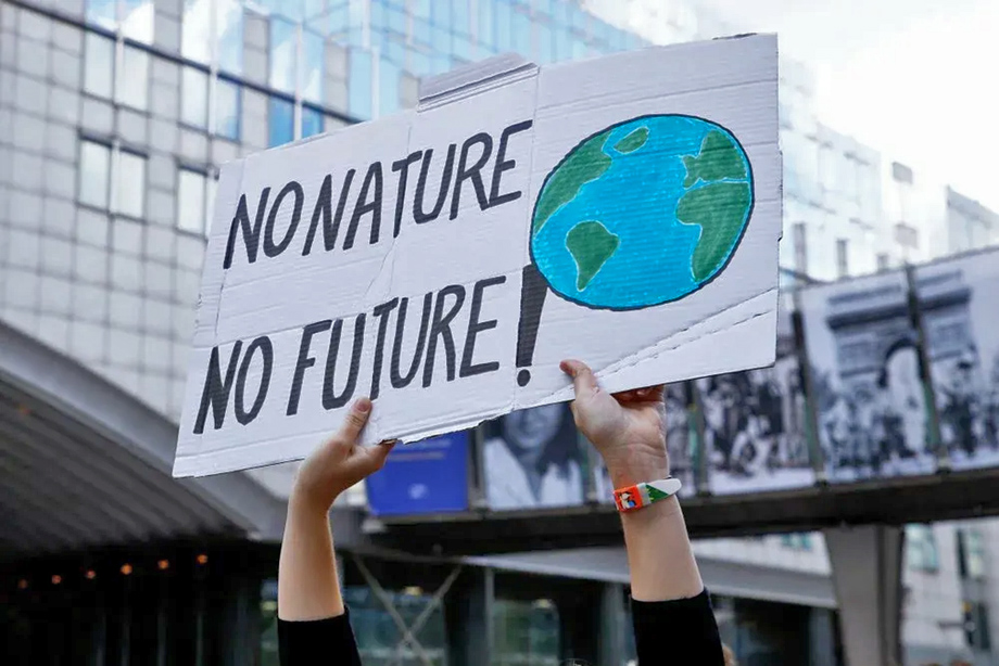 КОЛЕКТИВНА ГРЕТА ТУНБЕРГ: що крім гніву можуть дати світові екологічні активісти