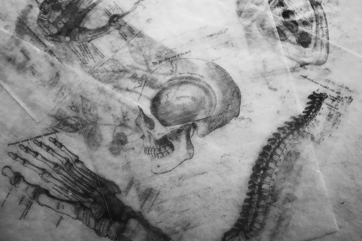 «GENETIC TRANSFORMER»: how language emerged before Homo sapiens