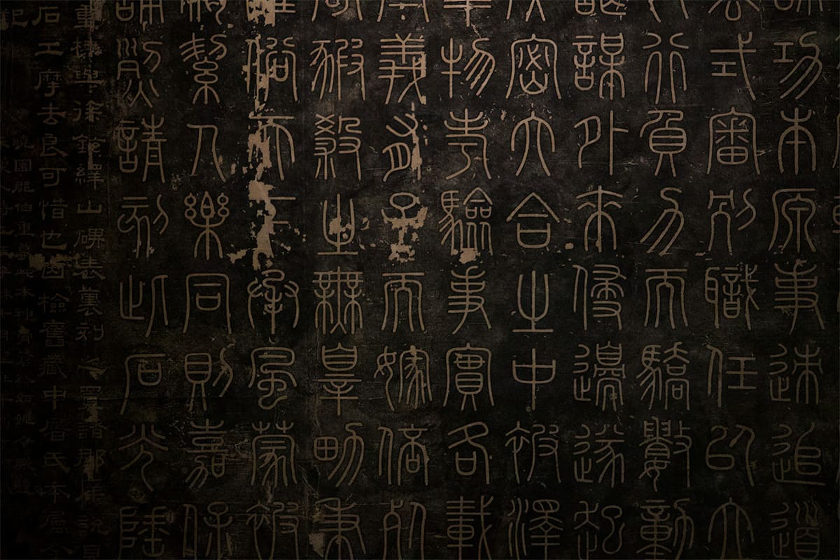 THE DEATH OF WORLDS: Why Some Languages Die Out While Others Dominate