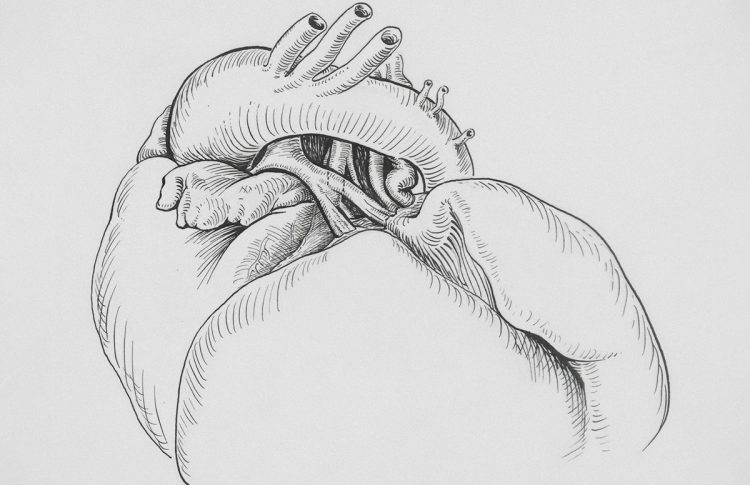 КАРДІОВАСКУЛЯРНИЙ ВІК: портрет вашого серця