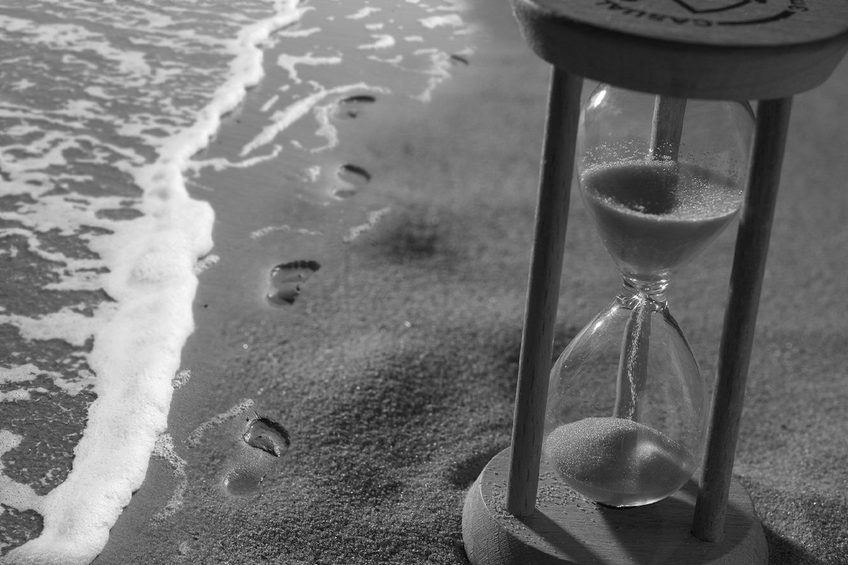 «ВОЛНЫ ВРЕМЕНИ» В «МИРЕ ОТЧАЯНЬЯ»: народы, люди и их органы стареют по-разному